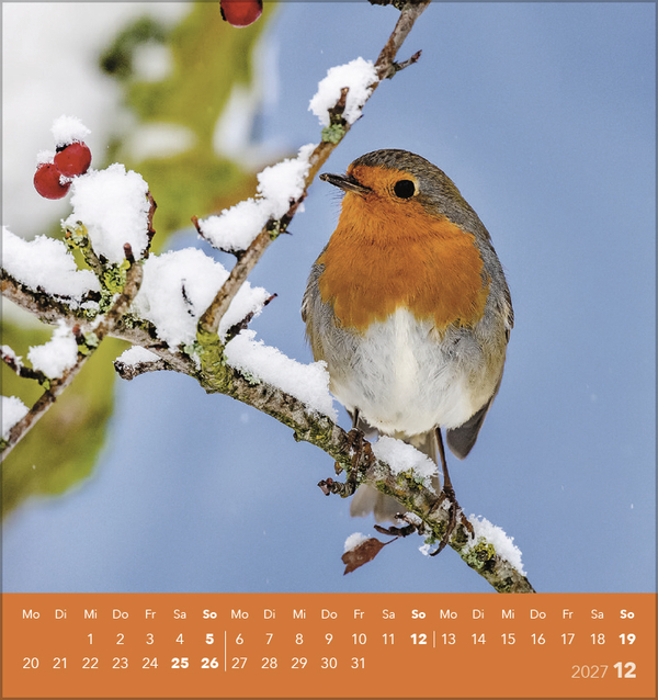 V&ouml;gel unserer Heimat 2027, Innenansicht #12