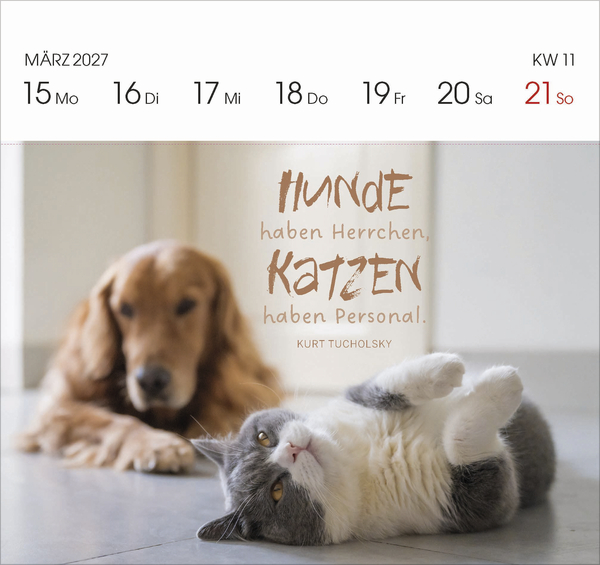 Katzen 2027, Innenansicht #3
