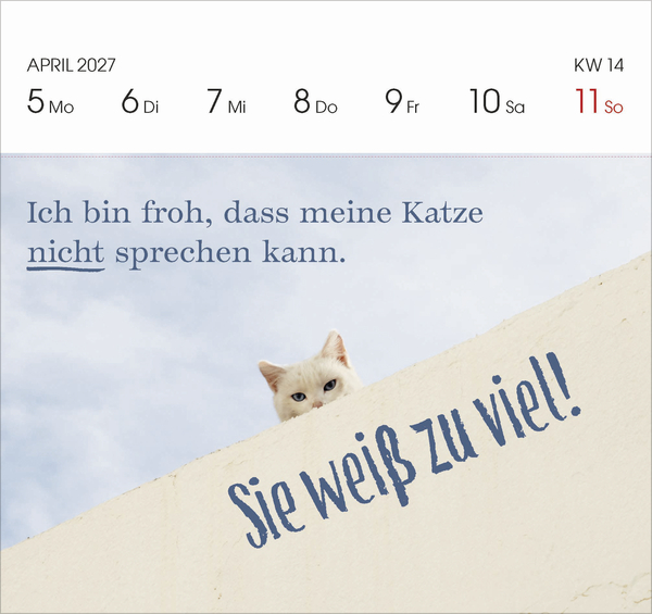 Katzen 2027, Innenansicht #4