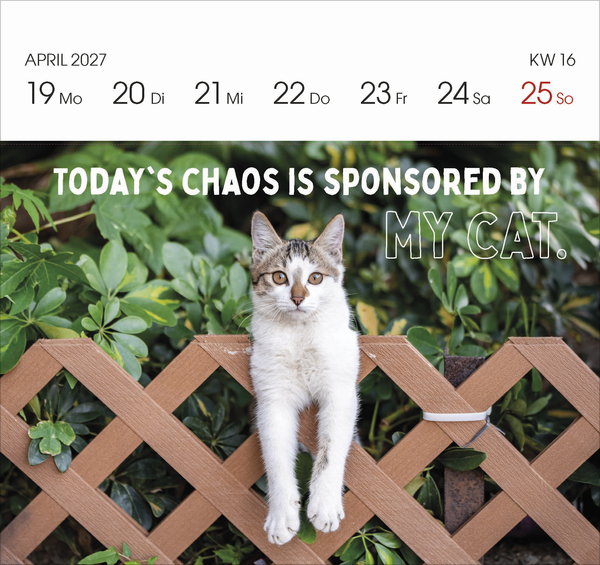 Katzen 2027, Innenansicht #5