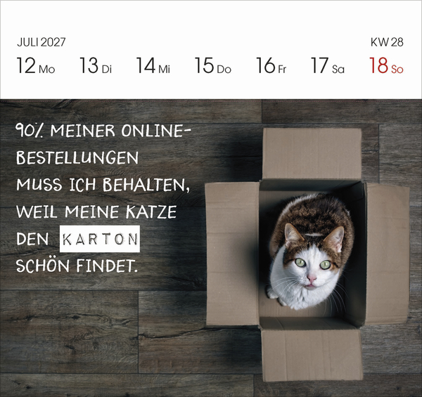 Katzen 2027, Innenansicht #8