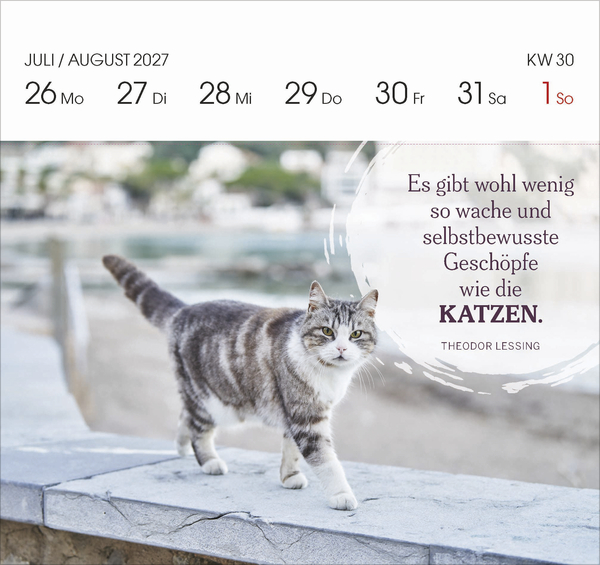Katzen 2027, Innenansicht #9