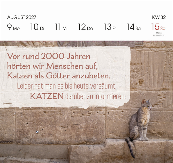 Katzen 2027, Innenansicht #10