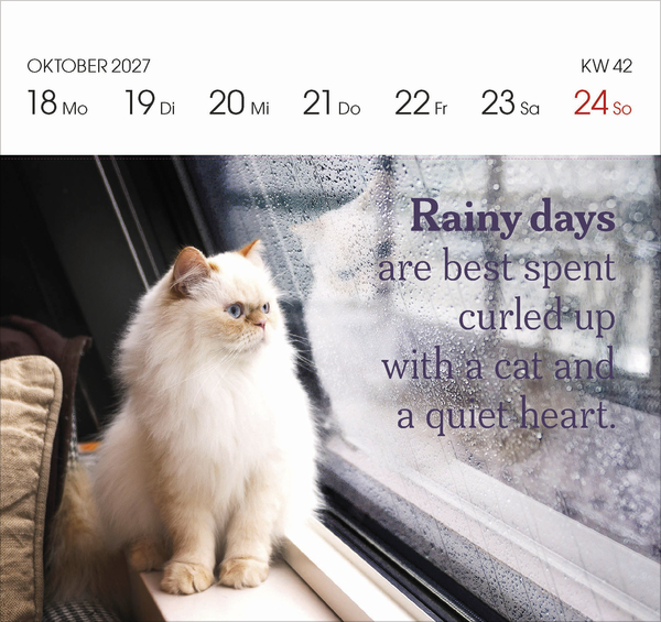 Katzen 2027, Innenansicht #11