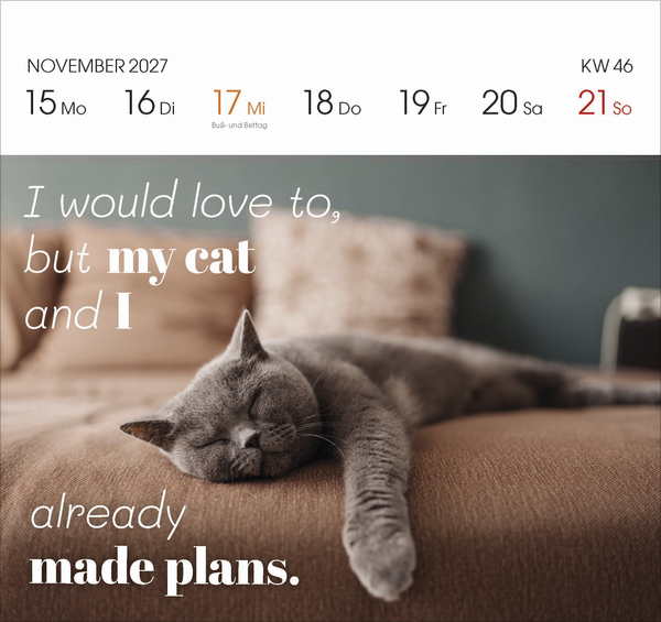 Katzen 2027, Innenansicht #12