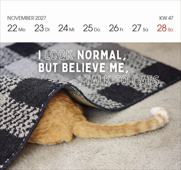 Katzen 2027, Innenansicht #13