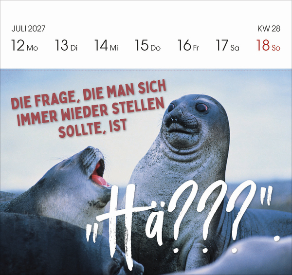 Lieber verr&uuml;ckt das Leben genie&szlig;en 2027, Innenansicht #3