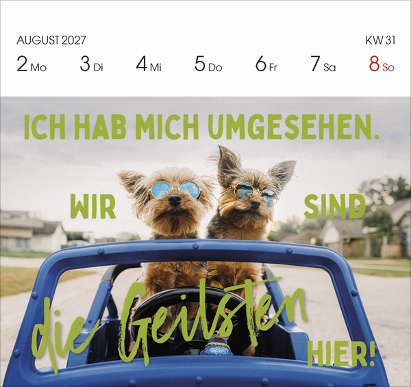 Lieber verr&uuml;ckt das Leben genie&szlig;en 2027, Innenansicht #5