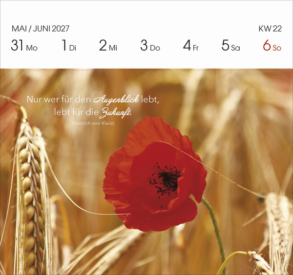 Genie&szlig;e jeden Augenblick 2027, Innenansicht #8