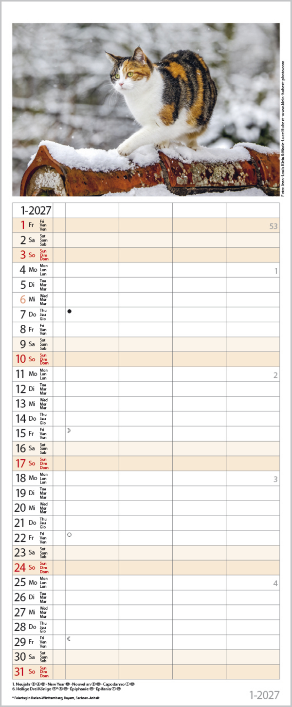 Auf Samtpfoten durch's Jahr 2027, Innenansicht #1