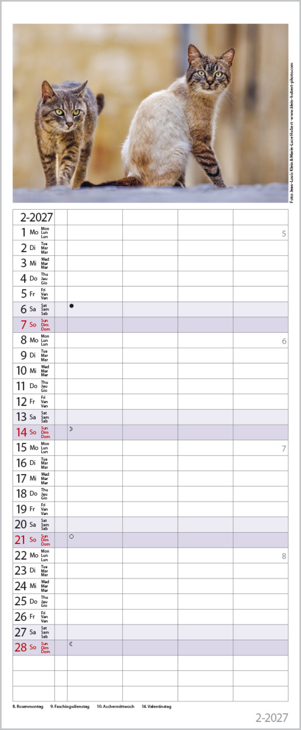 Auf Samtpfoten durch's Jahr 2027, Innenansicht #2