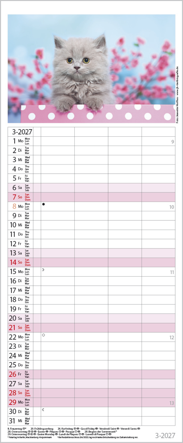 Auf Samtpfoten durch's Jahr 2027, Innenansicht #3