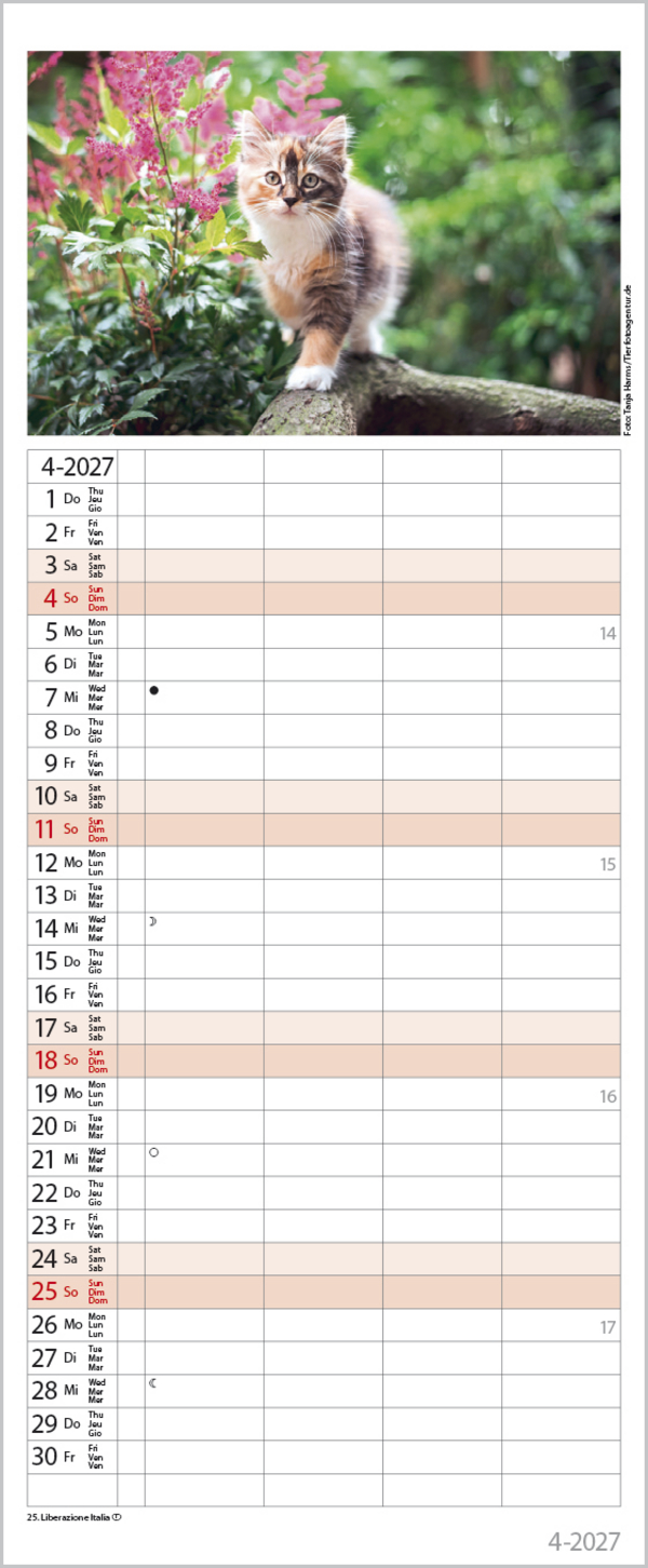 Auf Samtpfoten durch's Jahr 2027, Innenansicht #4