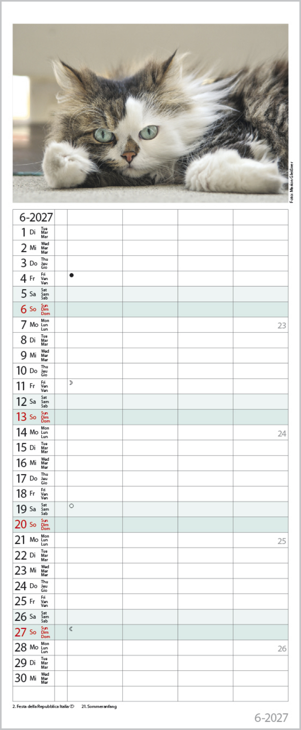 Auf Samtpfoten durch's Jahr 2027, Innenansicht #6