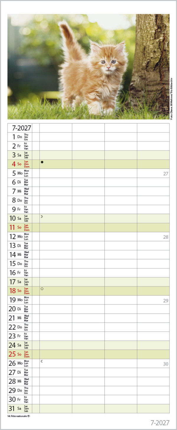 Auf Samtpfoten durch's Jahr 2027, Innenansicht #7
