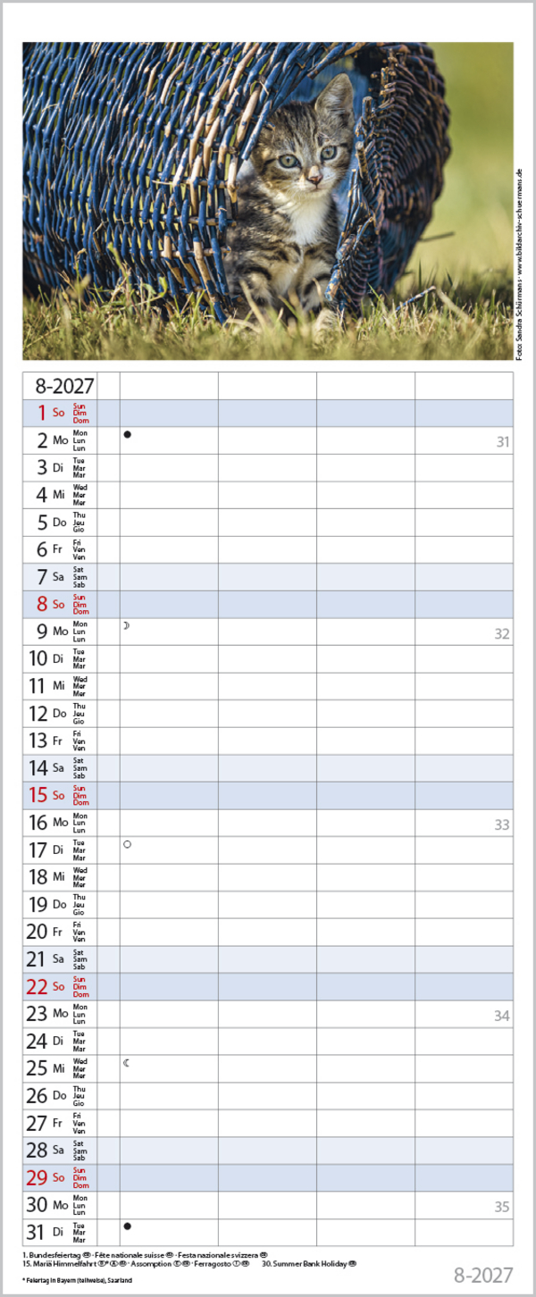 Auf Samtpfoten durch's Jahr 2027, Innenansicht #8