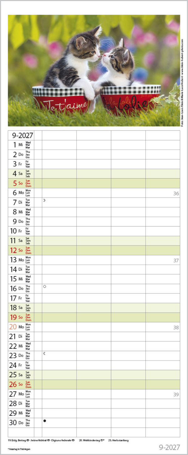 Auf Samtpfoten durch's Jahr 2027, Innenansicht #9
