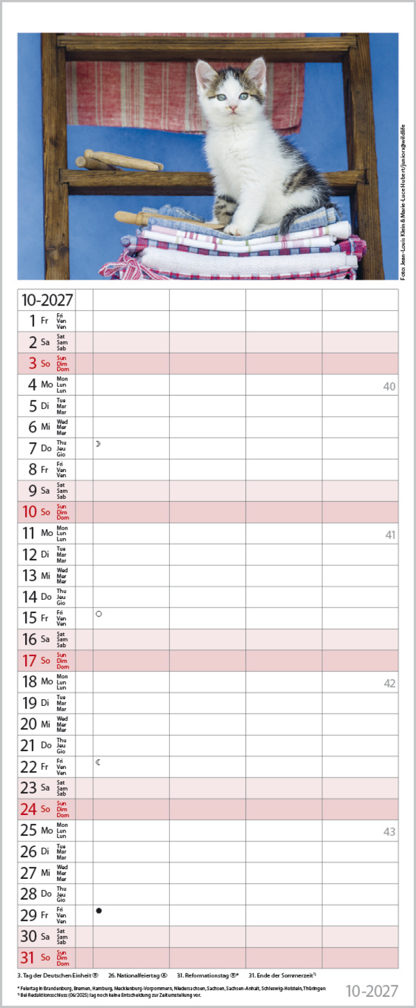 Auf Samtpfoten durch's Jahr 2027, Innenansicht #10