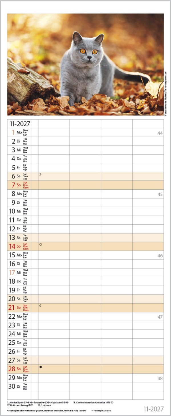Auf Samtpfoten durch's Jahr 2027, Innenansicht #11