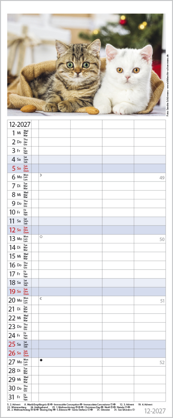 Auf Samtpfoten durch's Jahr 2027, Innenansicht #12