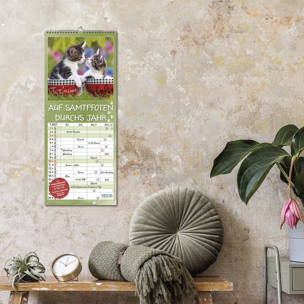 Auf Samtpfoten durch's Jahr 2027, Innenansicht #16