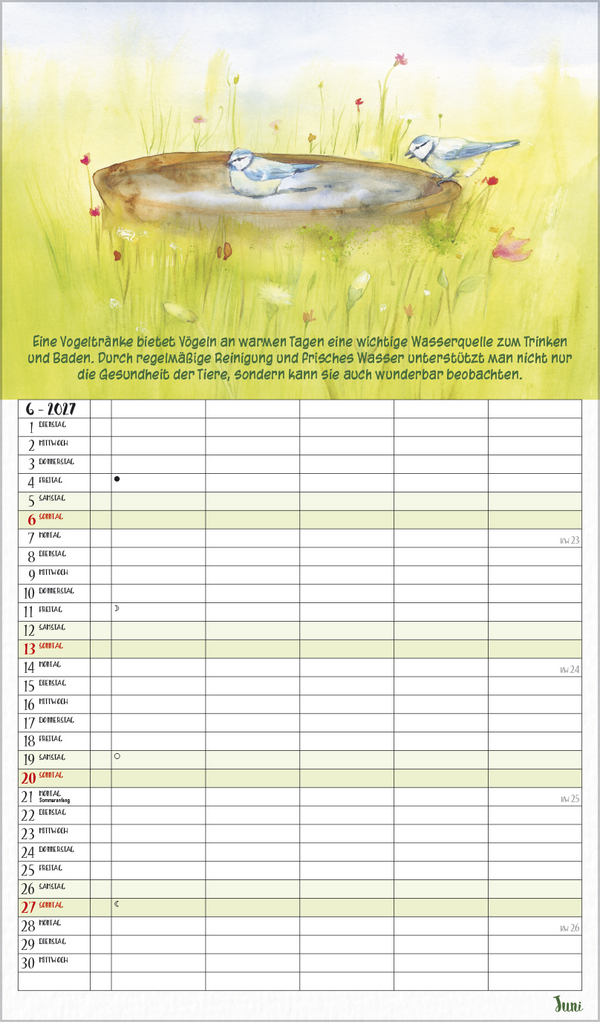 NaturLiebe 2027, Innenansicht #6