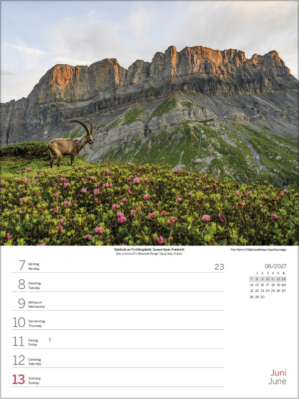 Zauber der Alpen 2027, Innenansicht #8