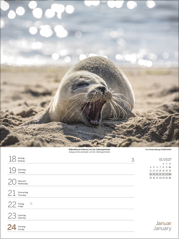 Nord- und Ostsee Wochenkalender 2027, Innenansicht #2