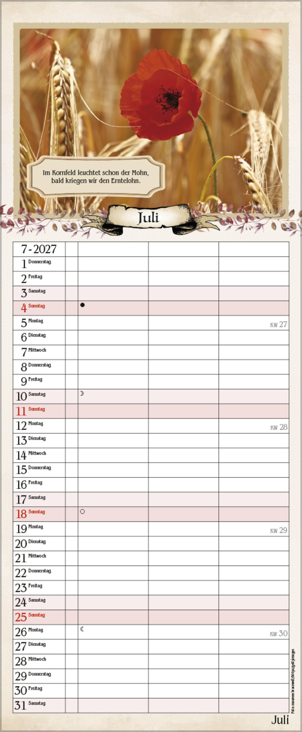 Planer f&uuml;r Rentner 2027, Innenansicht #7