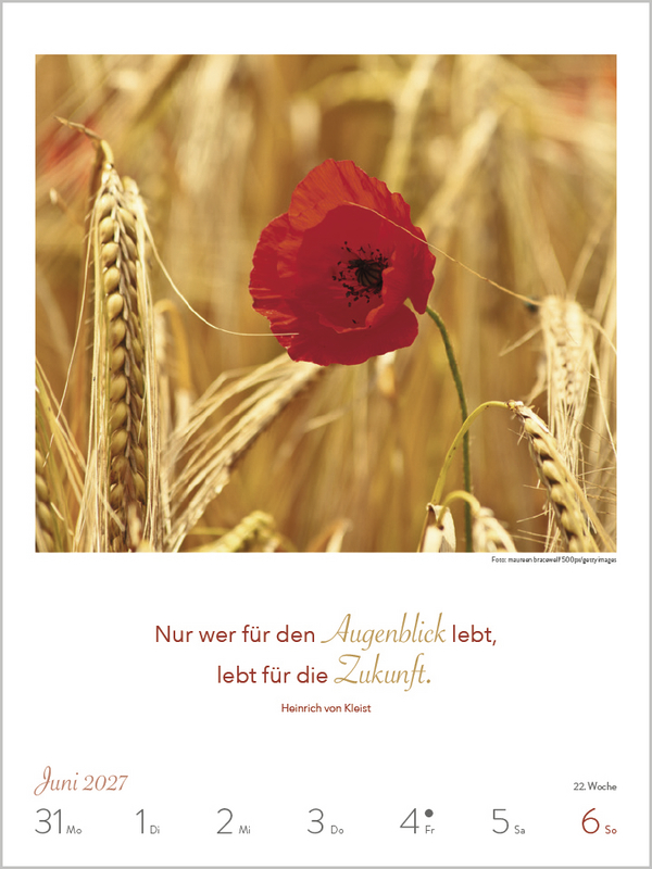 Literaturkalender Lebensweisheiten 2027, Innenansicht #6