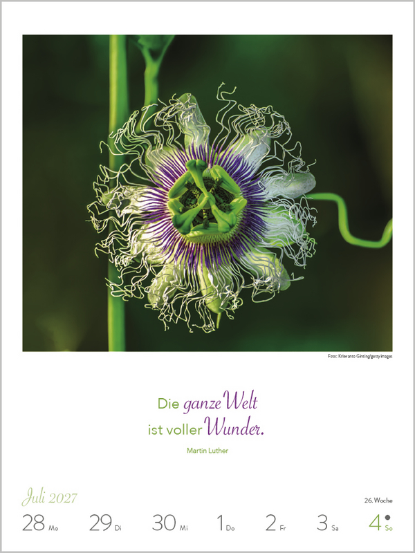 Literaturkalender Lebensweisheiten 2027, Innenansicht #8