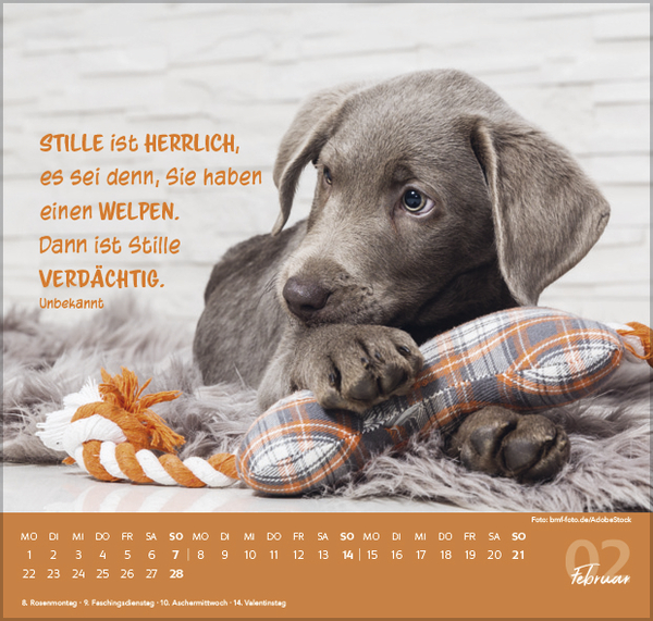 F&uuml;r Hundeliebhaber 2027, Innenansicht #2