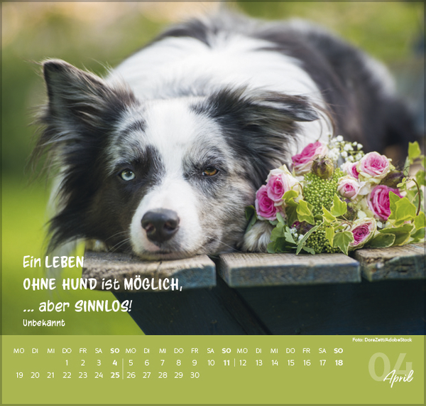 F&uuml;r Hundeliebhaber 2027, Innenansicht #4