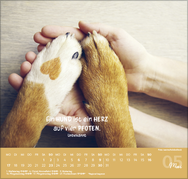 F&uuml;r Hundeliebhaber 2027, Innenansicht #5