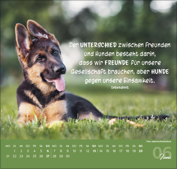 F&uuml;r Hundeliebhaber 2027, Innenansicht #6