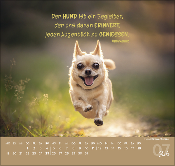 F&uuml;r Hundeliebhaber 2027, Innenansicht #7