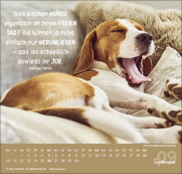 F&uuml;r Hundeliebhaber 2027, Innenansicht #9