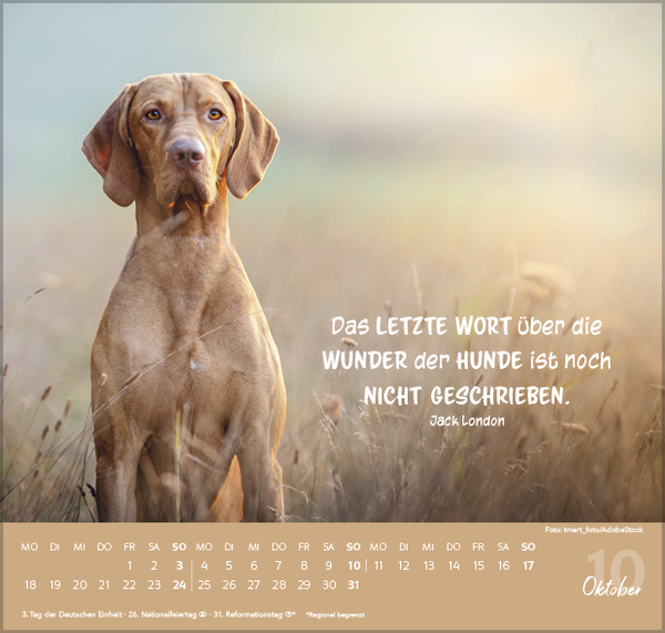 F&uuml;r Hundeliebhaber 2027, Innenansicht #10