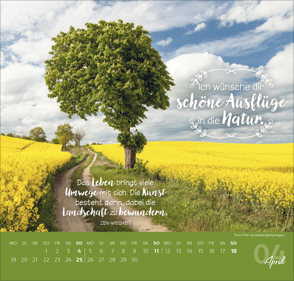 Die allerbesten W&uuml;nsche f&uuml;r dich 2027, Innenansicht #4