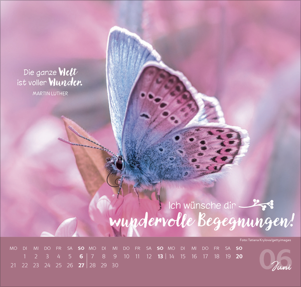 Die allerbesten W&uuml;nsche f&uuml;r dich 2027, Innenansicht #6