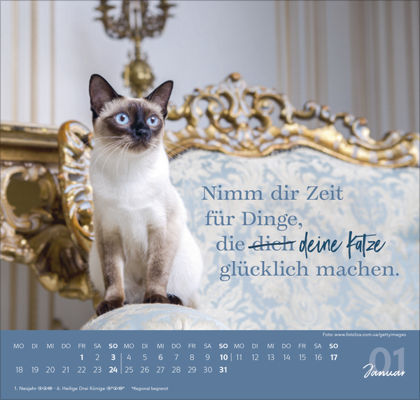 Live, Love, Meow 2027, Innenansicht #1