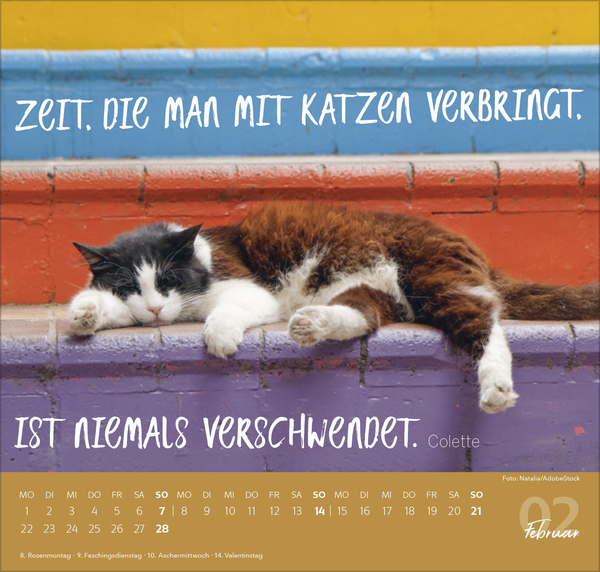 Live, Love, Meow 2027, Innenansicht #2