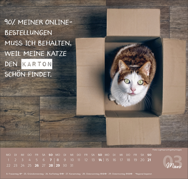Live, Love, Meow 2027, Innenansicht #3