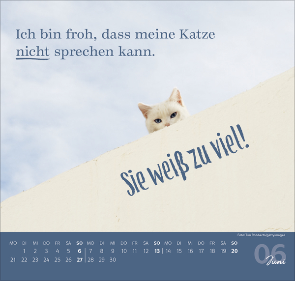 Live, Love, Meow 2027, Innenansicht #6