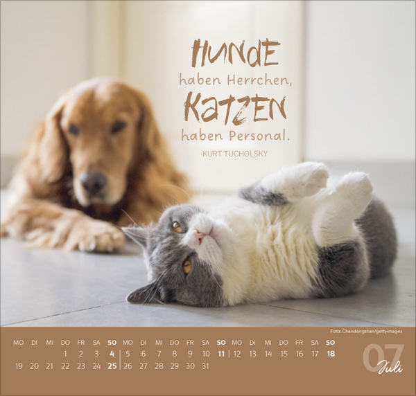 Live, Love, Meow 2027, Innenansicht #7