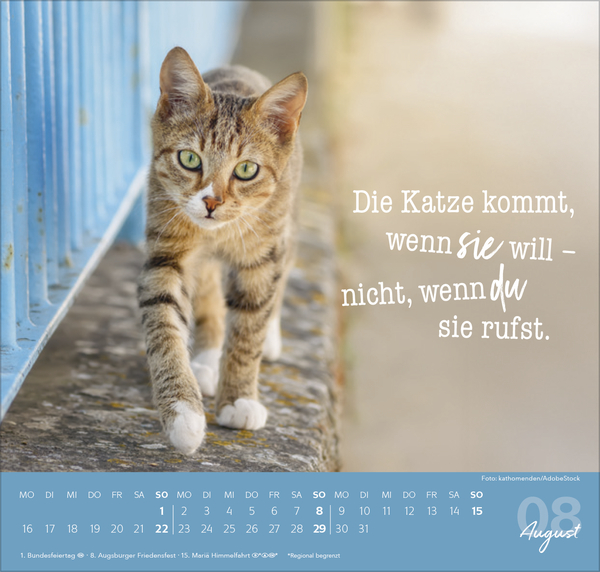 Live, Love, Meow 2027, Innenansicht #8