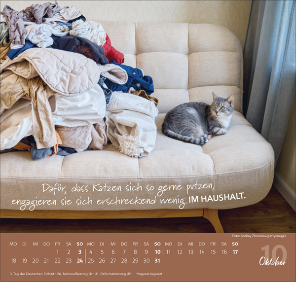 Live, Love, Meow 2027, Innenansicht #10