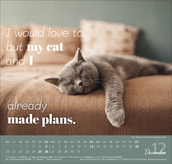 Live, Love, Meow 2027, Innenansicht #12