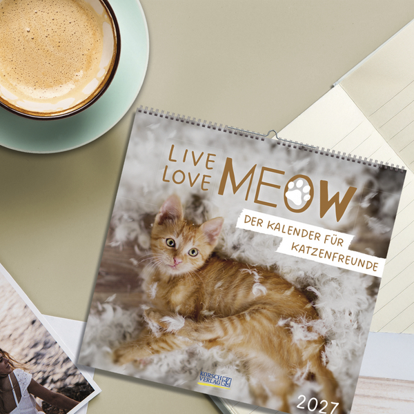 Live, Love, Meow 2027, Innenansicht #16