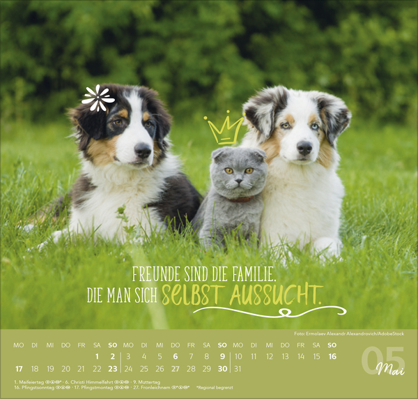 Du bist mein Herzensmensch 2027, Innenansicht #5